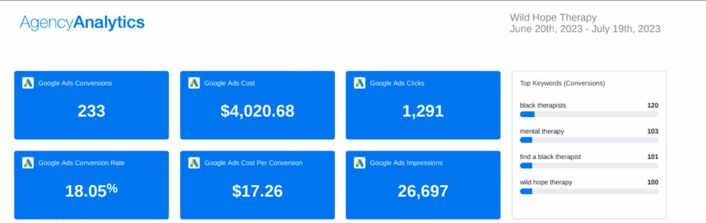 SEO Rank Media's Google Ad's client results